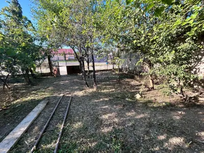 Bocsa Romana, 2 Corpuri de cladire cu Teren si garaj, la Strada Principala - foto 5