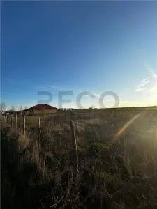 RECO Teren intravilan 1025mp În Paleu - foto 2