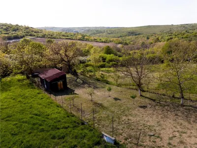 RECO Teren, zona Gheorghe Doja Saldabagiu de Munte, 1129 mp, panorama - foto 5