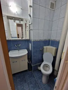 Apartament 2 camere Tractorul-piata,renovat,mobilat,57600 Euro - foto 6
