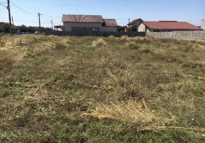 Teren intravilan- MOSNITA NOUA- TOATE UTILITATILE+ strada asfaltata - foto 2