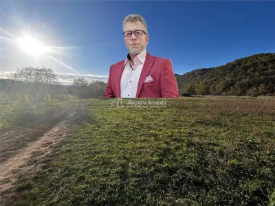 Bocsa Teren Intravilan 2754 Mp. - Bocsa