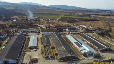 FILM! +25.400mp teren+Complex agrozootehnic cu traditie, accesorizat+ potential A,Borosneu - foto 8