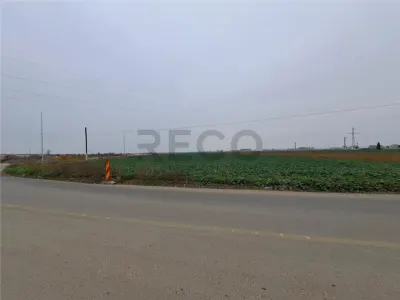 RECO teren intrare Chiribis - Chiribis