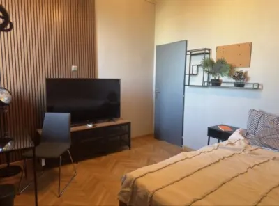 Apartament 2 camere  | Zona Ateneu | Zona Ultracentrala Sector 1 - foto 7