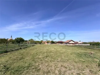 RECO Teren intravilan in Biharia - Biharia