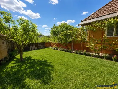 Casa cu farmec autentic, anexe, 1.100 mp teren roditor, Saulia, Mures - foto 7