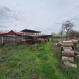 Casa cu Gradina si Teren, 4636 MP. Ghertenis - foto 4
