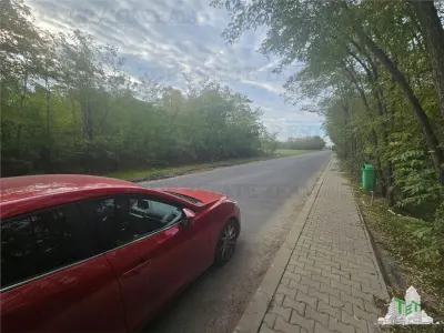 Teren 7500mp in liziera padurii in Dragomiresti-Deal - Dragomiresti-Deal