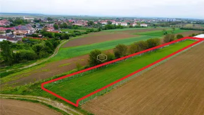 Teren 3.600 m² in Odoreu | 7 km de Satu Mare | 160 m de Principala - foto 2