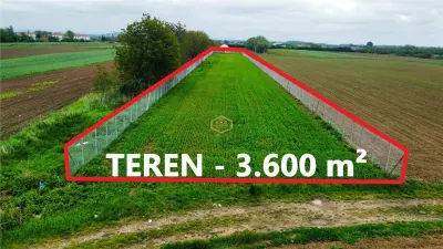 Teren 3.600 m² in Odoreu | 7 km de Satu Mare | 160 m de Principala - foto 3