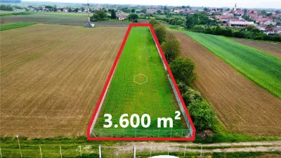 Teren 3.600 m² in Odoreu | 7 km de Satu Mare | 160 m de Principala - foto 4