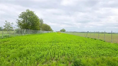 Teren 3.600 m² in Odoreu | 7 km de Satu Mare | 160 m de Principala - foto 9