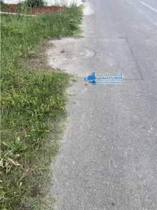 Vanzare teren intravilan Baicoi Pahova - foto 8