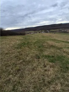 RECO Teren intravilan dublu front stradal- Betfia - foto 2