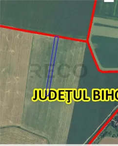 RECO Teren extravilan 5800 mp Livada de Bihor - foto 11