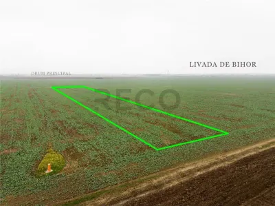 RECO Teren extravilan 5800 mp Livada de Bihor - foto 5