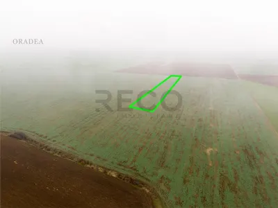 RECO Teren extravilan 5800 mp Livada de Bihor - foto 9