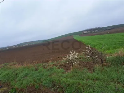 RECO teren Ghenetea 7800mp - foto 2