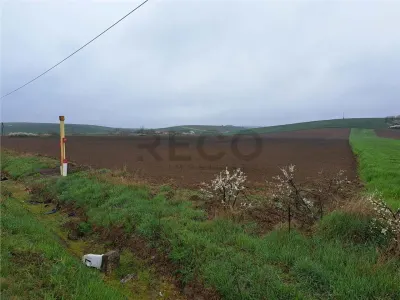 RECO teren Ghenetea 7800mp - foto 3