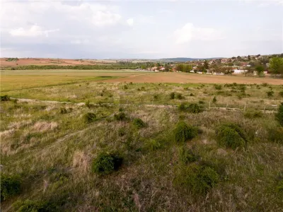 RECO Teren de vanzare Paleu 1025mp - foto 9