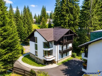 Descopera oportunitatea! Imobiliar& Transfer Business in inima statiunii Poiana Brasov, Romania - foto 15
