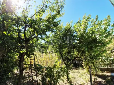 Casa de vanzare in Dancu - foto 12