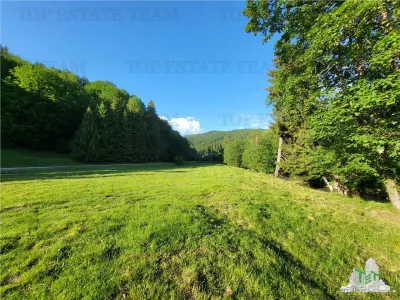 Teren Intravilan 12000 mp, Cascada Urlatoarea, proiect aprobat pentru Resort, langa bazin Piscicol. - foto 15