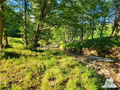 Teren Intravilan 12000 mp, Cascada Urlatoarea, proiect aprobat pentru Resort, langa bazin Piscicol. - foto 16