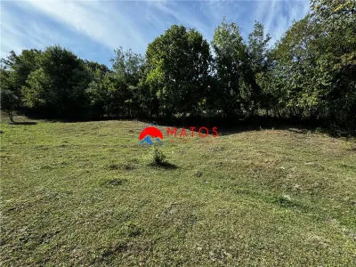 TEREN INTRAVILAN DE VANZARE IN POIANA CAMPINA | 3.526 MP | - foto 6