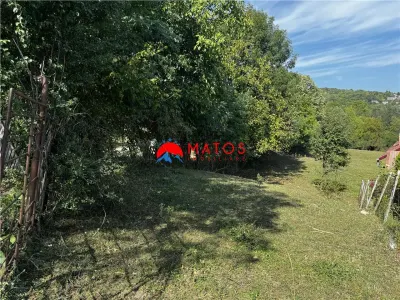 TEREN INTRAVILAN DE VANZARE IN POIANA CAMPINA | 3.526 MP | - foto 9