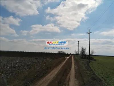 Teren intravilan 22000 mp Balotesti str Fabricii cu utiltati - foto 2