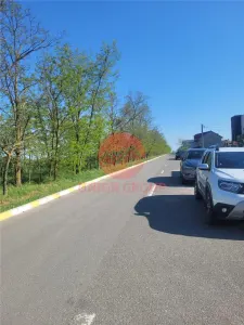 Teren Intravilan Valu lui Traian, 3 Loturi a cate 311 mp - foto 8
