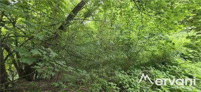 Teren de vanzare in Breaza, Nistoresti - foto 8