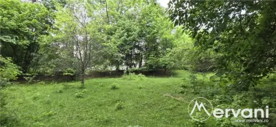 Teren de vanzare in Breaza, Nistoresti - foto 9