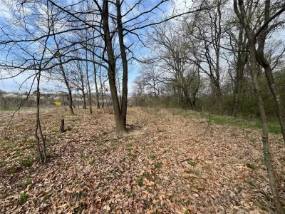 RECO Teren intravilan, loc de casa sau investitie  Saldabagiu de Munte - foto 3