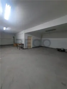 RECO Pensiune / azil cu 2 etaje si hala mare in Ineu de Cris - foto 21