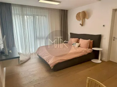 Vila superba 5 camere, Mobilata&utilata I Pipera-Iancu Nicolae - foto 21
