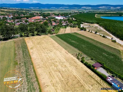 FILM! Teren extravilan, Valea Crisului, Covasna - Valea Crisului