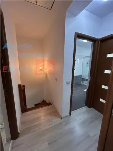 OPORTUNITATE! Proprietate deosebita de vanzare | Casa, 13.200 mp teren, doua iazuri cu peste | Raducaneni, Iasi - foto 18