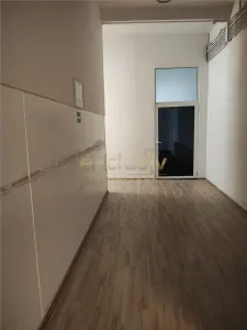 Hala mica productie, showroom  Bartolomeu - foto 18