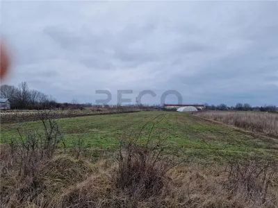 RECO Teren intravilan in Bors cu front mare - foto 3