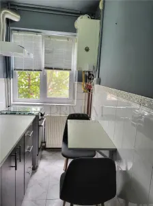 Take Ionescu, apartament 2 camere, centrala proprie, clima - foto 2