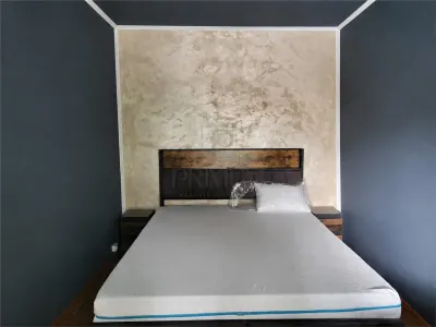 Take Ionescu, apartament 2 camere, centrala proprie, clima - foto 7