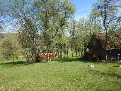 Teren intravilan si extravilan Luncoiu de Jos - foto 3