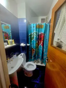 Apartament 3 camere, 2 bai, 2 balcoane, etaj intermediar zona Noua - foto 7