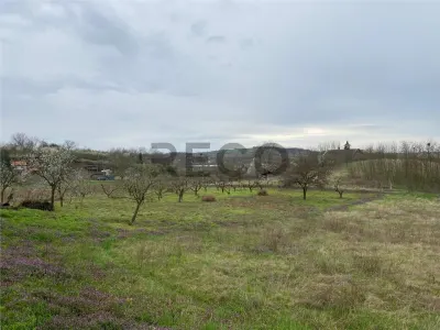 RECO Casa cu 2 camere cu priveliste frumoasa in Diosig - foto 8
