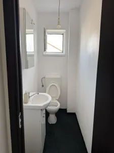 3 Camere Tip Duplex | Fizicienilor | Dristor | Centrala|Sector 3 - foto 8