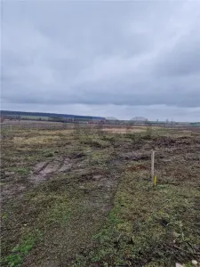 RECO Teren intravilan in Les la 14 km de Oradea - foto 3
