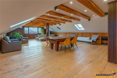 FILM& 3D! Vila high tech, cu semineu, jacuzzi, terasa, 7 camere cu baie proprie, Central, Brasov - foto 18